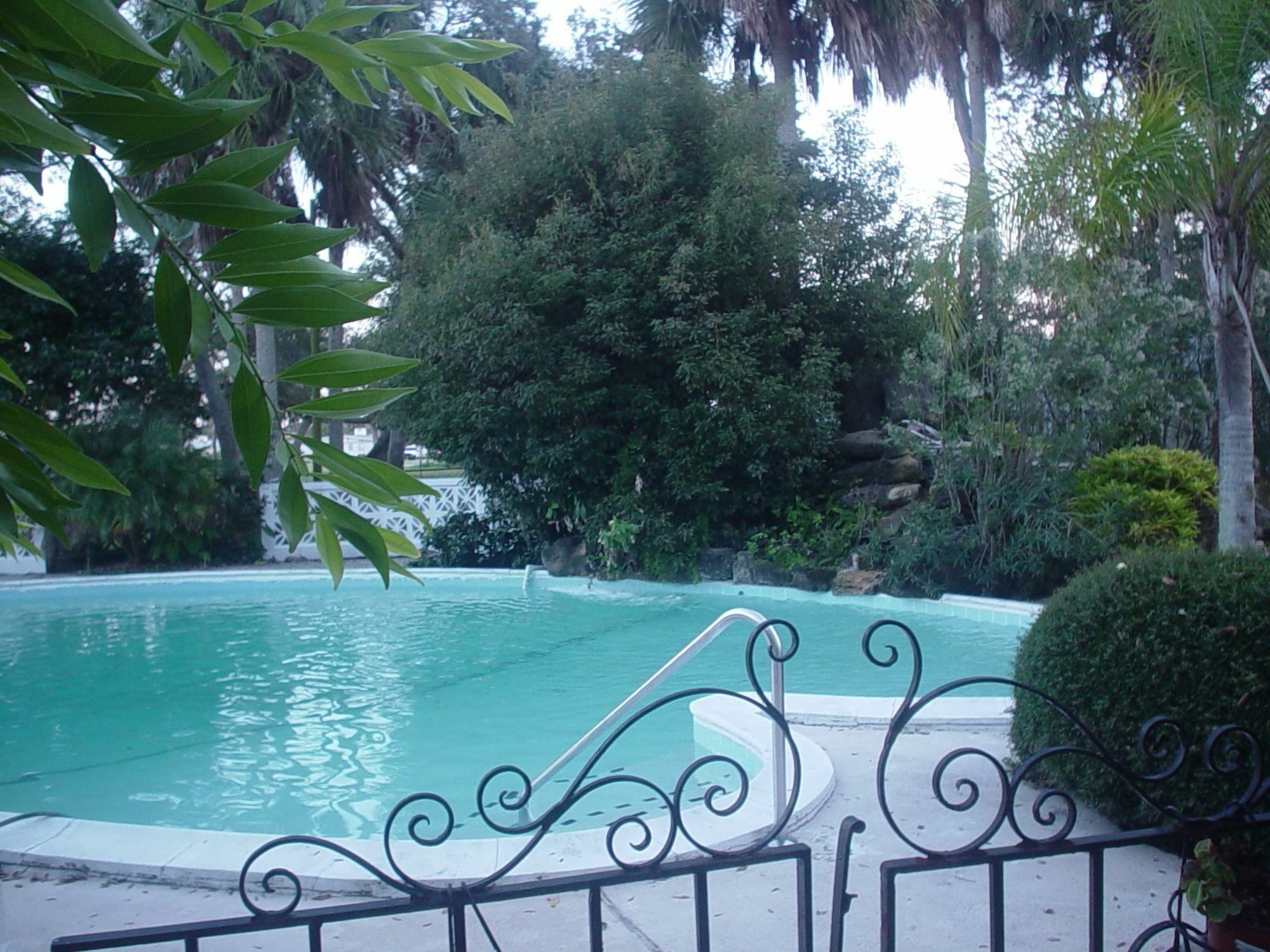 The River Lily Daytona Beach Udogodnienia zdjęcie